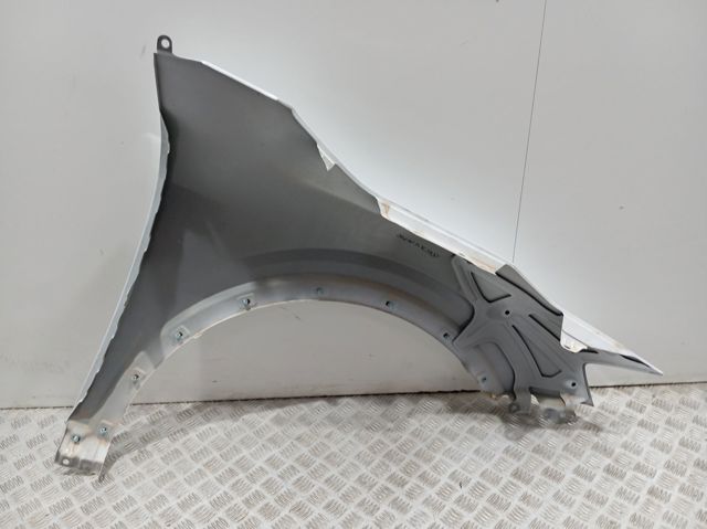 Błotnik przedni lewy Hyundai/Kia 66311P1000 cena, od 437,56 USD
