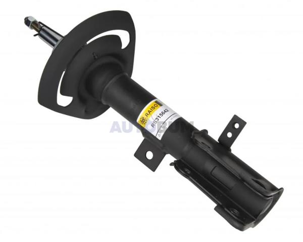 RS315642 Raiso Amortyzator przedni prawy