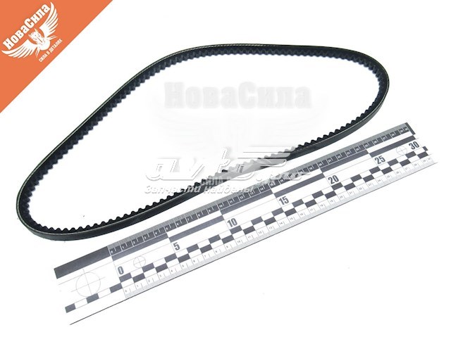 Pas napędowy mechanizmów 10A0875C Dayco