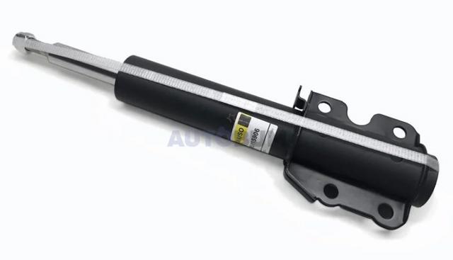 RS115906 Raiso Amortyzator przedni