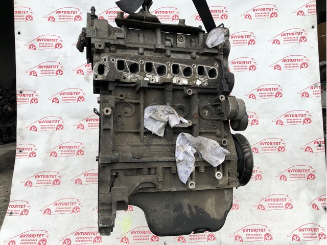 Do koszyka Silnik w komplecie Fiat Doblo II 263