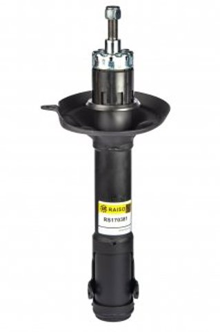 Do koszyka RS170381 Raiso Amortyzator przedni