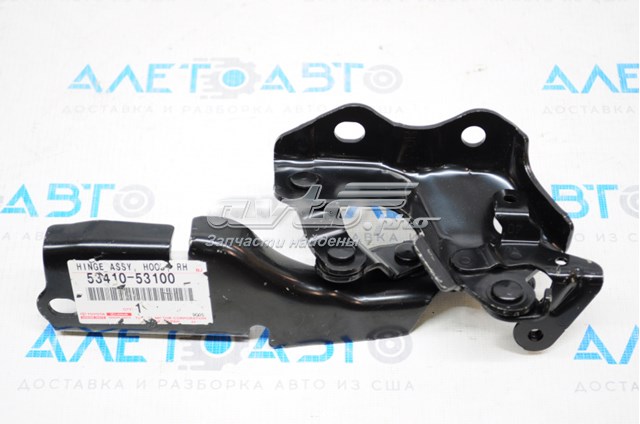 5341053100 Toyota Zawias maski prawy
