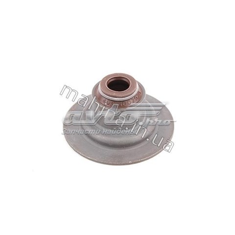 Uszczelniacz zaworu dolotowego/wylotowego 4801007020 China