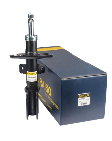 Amortyzator przedni Raiso RS319556 cena, od 71,63 USD