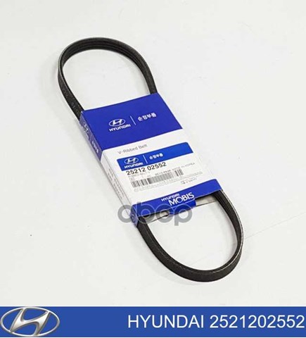 Do koszyka 2521202552 Hyundai/Kia Pas napędowy mechanizmów