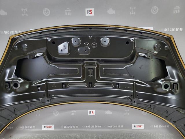 Do koszyka 651009758R Renault (RVI) Maska silnika
