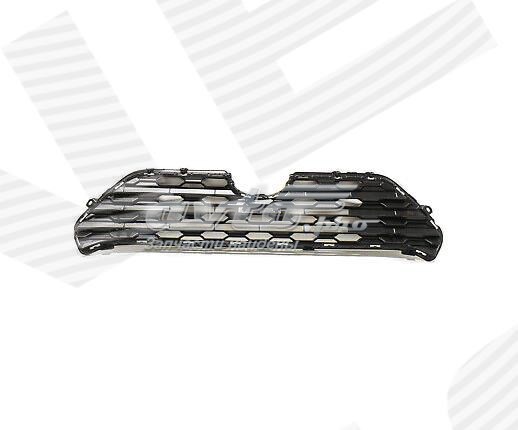 PTY99607AK Signeda Atrapa chłodnicy
