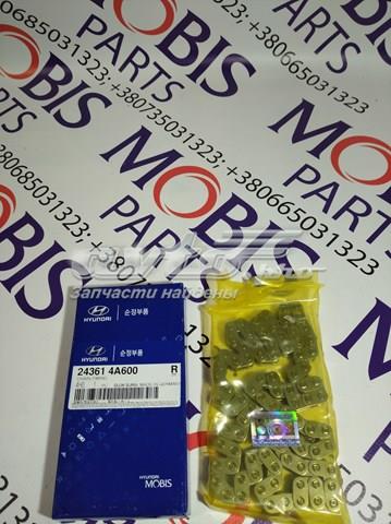 Łańcuch rozrządu 243614A600 Hyundai/Kia