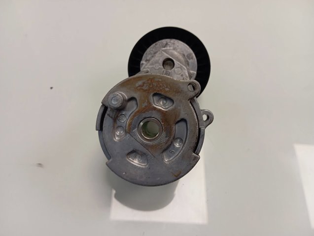 Do koszyka 55244469 Fiat/Alfa/Lancia Napinacz paska napędowego