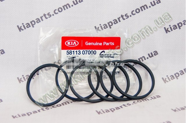 Do koszyka 954301RAB1 Hyundai/Kia 