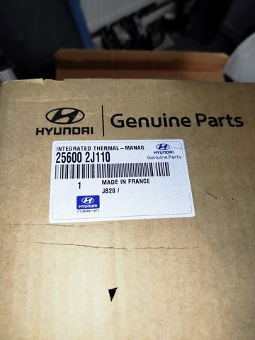 Do koszyka 256002J110 Hyundai/Kia Obudowa termostatu