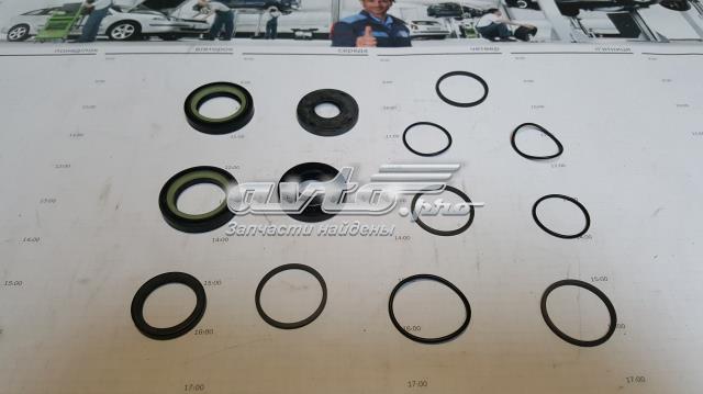 Zestaw naprawczy maglownicy (mechanizmu) (zestaw uszczelniaczy) do Fiat Doblo I 223