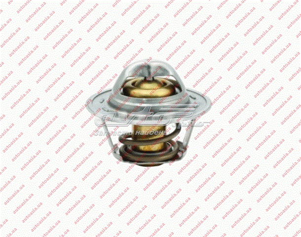 4801306020 Market (OEM) Termostat