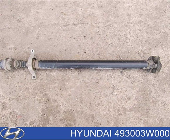 Do koszyka Wał Cardana tylny, kompletny KIA Sportage III SL