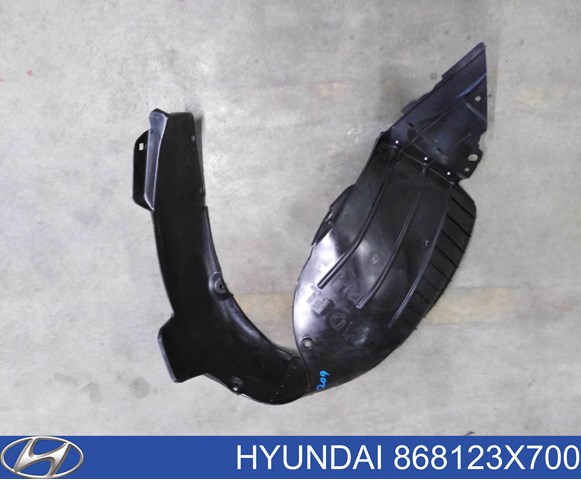  Hyundai/Kia 868123X700