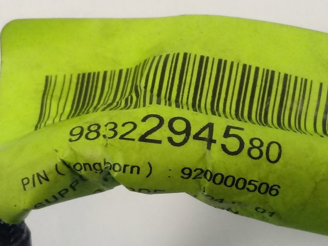 Kamera systemu zapewnienia widoczności 9832294580 Peugeot/Citroen