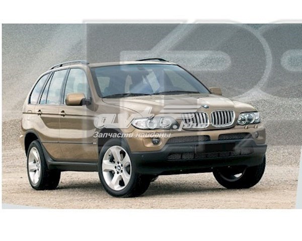 Szyba przednia BMW X5 SUV (E53) (2000 - 2006) cena, od 142,99 USD