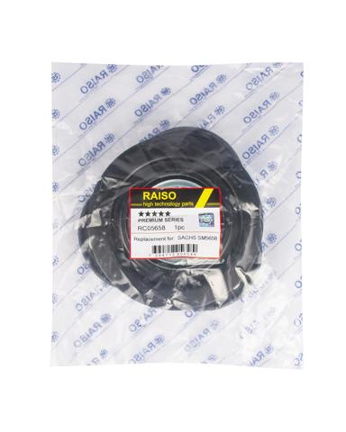  Raiso RC05658