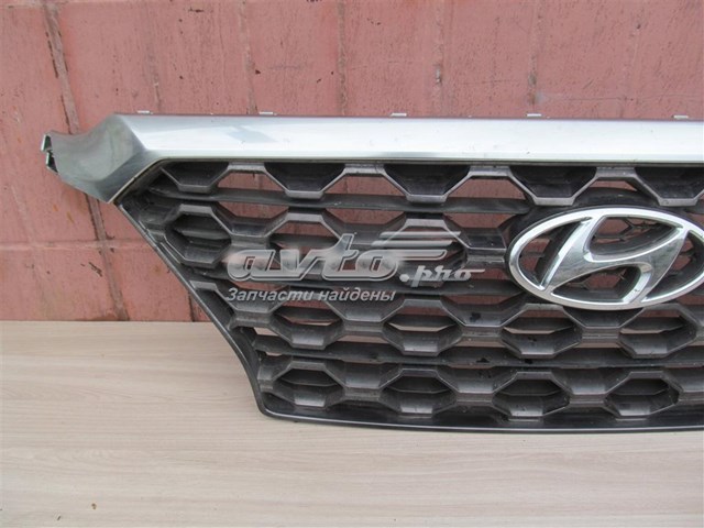 Atrapa chłodnicy Hyundai Santa Fe IV SUV (TM, TMA) (2018 - 2023) cena, od 386,81 USD