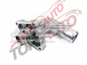 212009HP0A Nissan/Infiniti Termostat