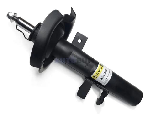 RS315469 Raiso Amortyzator przedni lewy