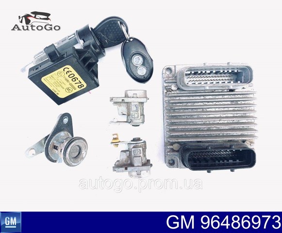 Sterownik silnika 96486973 General Motors