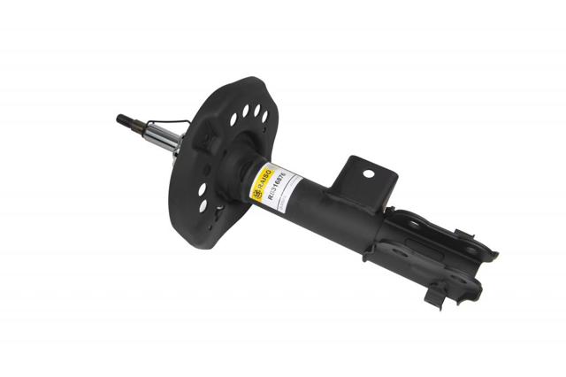 Do koszyka RS316876 Raiso Amortyzator przedni prawy