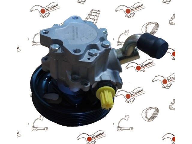 Do koszyka Pompa wspomagania hydraulicznego kierownicy Chery Eastar  B11