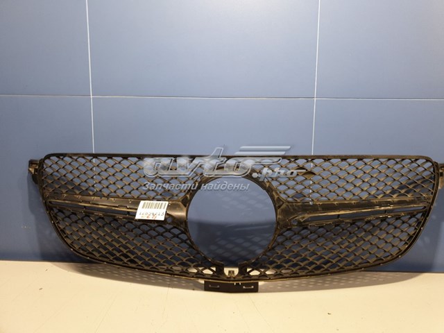 Do koszyka A2928880060 Mercedes Atrapa chłodnicy