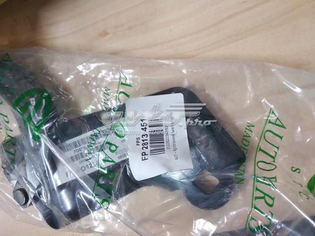  FPS FP2813451