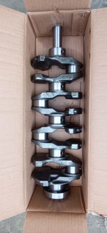 Do koszyka 231112G230 Hyundai/Kia Wał korbowy silnika