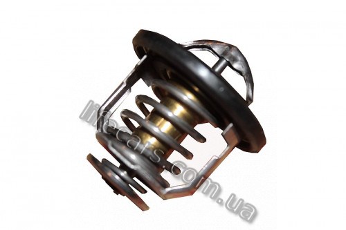 Termostat BYD 1018020600