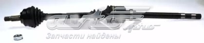  BGA DS1418R