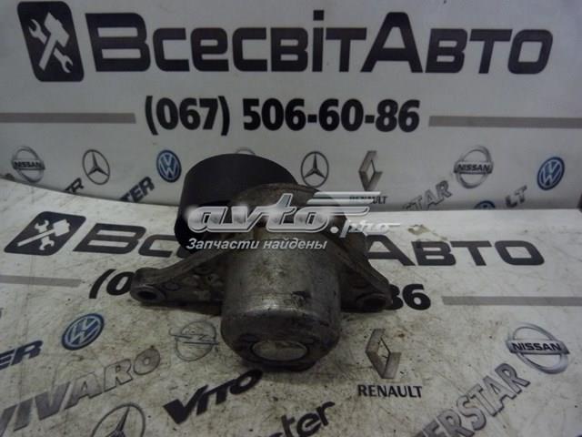 Napinacz paska napędowego Renault (RVI) 8200941079 cena, od 67,16 USD