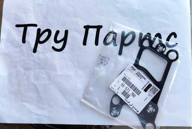 55571780 General Motors Uszczelka schładzacza EGR układu recyrkulacji spalin