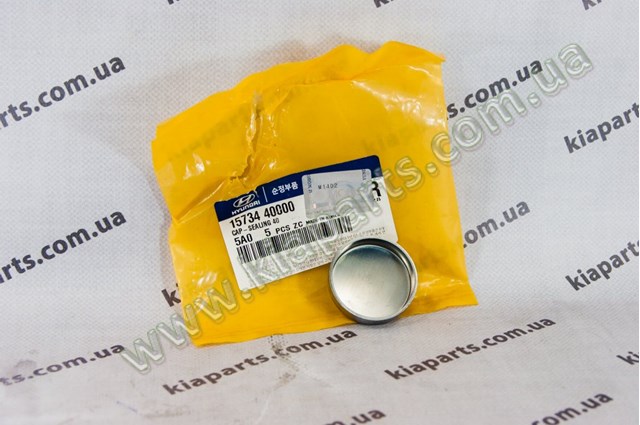 1573440000 Hyundai/Kia Zaślepka głowicy cylindrów/bloku cylindrów