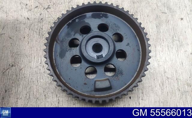 Koło zębatewalcowe wałka rozrządu silnika 55566013 General Motors