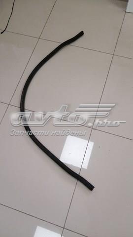  Uszczelka szyby przedniej Citroen C-Elysee 