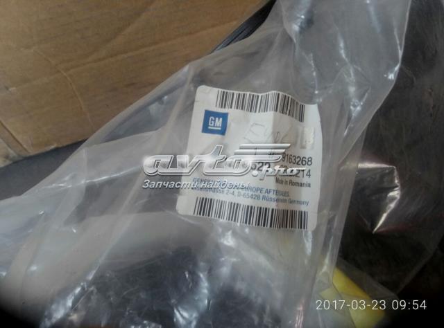 1718529 General Motors Chlapacze tylne, komplet