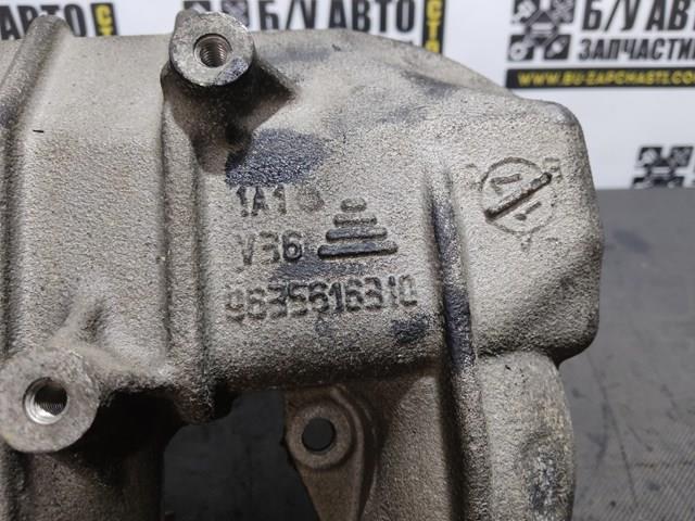 Do koszyka 9635616310 Peugeot/Citroen 