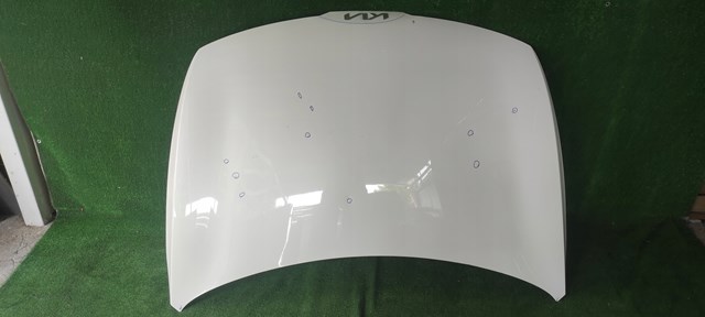 Do koszyka 66400R2000 Hyundai/Kia Maska silnika