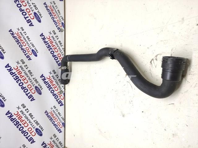 1692030 Ford Przewód (króciec) chłodnicy górny