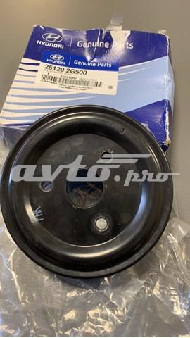 Do koszyka Koło pasowe pompy wodnej Hyundai Sonata VI YF