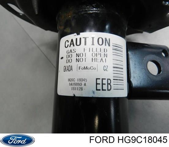 HG9C18045 Ford 