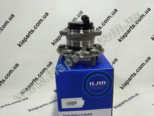 Piasta tylna IJ113062 Iljin