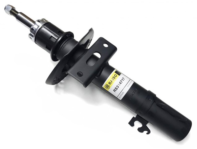 RS314717 Raiso Amortyzator przedni