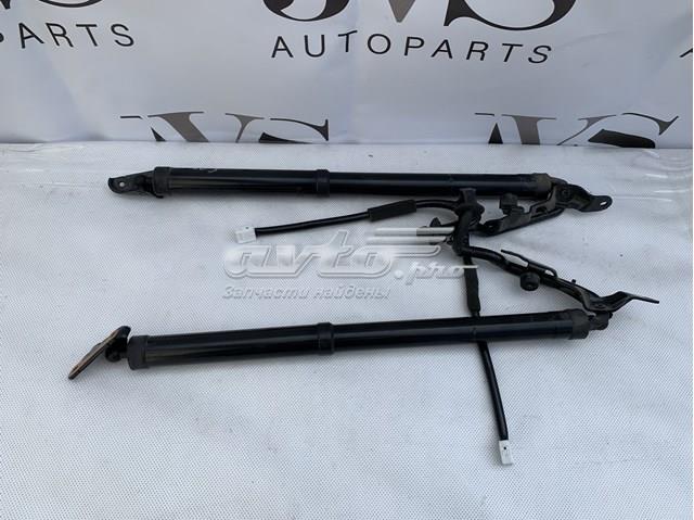 6891049065 Toyota Amortyzator klapy bagażnika (3/5 drzwi-tylnych)