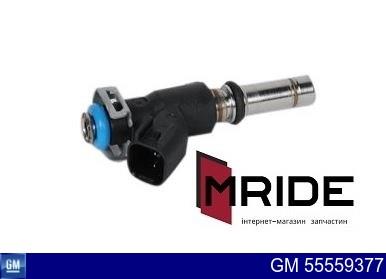 Wtryskiwacz paliwa General Motors 55559377 cena, od 76,62 USD