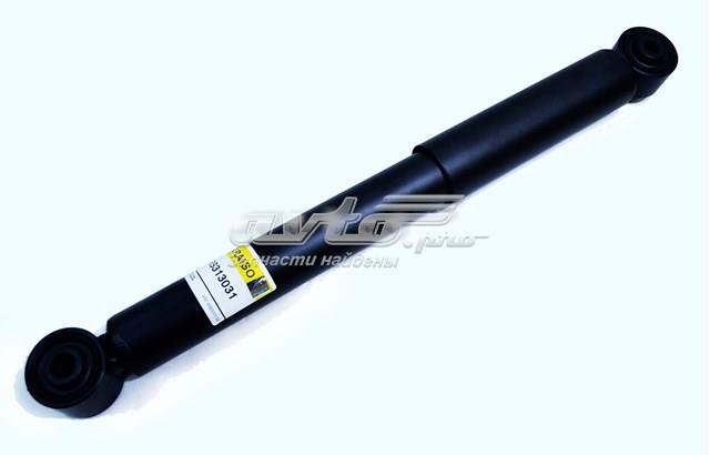 Amortyzator tylny Raiso RS313031 cena, od 31,48 USD